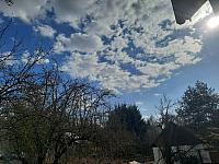 Olešná