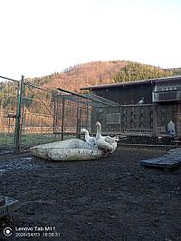 Stará Bystrica