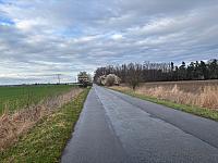 Fotografie