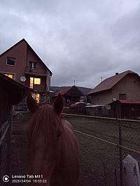 Stará Bystrica