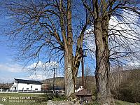 Stará Bystrica