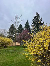 Dobříš
