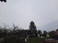 Olešná