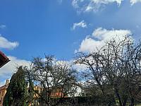 Olešná