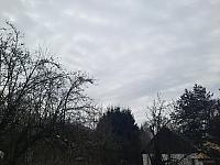 Olešná