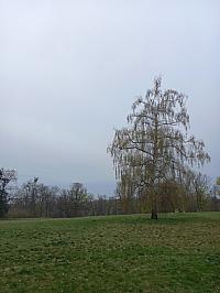 Svatý Mikuláš