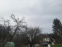 Olešná