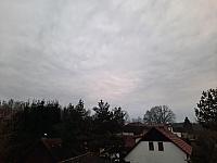 Olešná