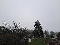 Olešná