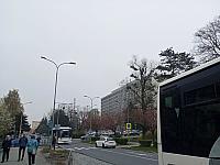 Kopřivnice