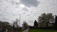 Hořice - Libonice