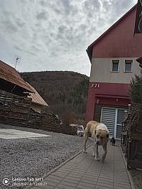Stará Bystrica