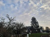 Olešná