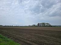 Odrovice