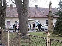 Třibřichy