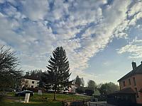 Olešná