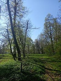 Svatý Mikuláš