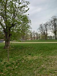 Svatý Mikuláš