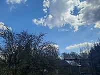 Olešná