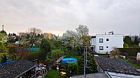 Hořice - Libonice