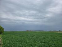 Odrovice