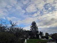 Olešná