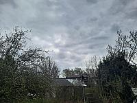 Olešná