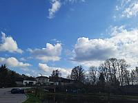 Olešná