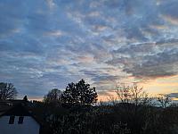 Olešná