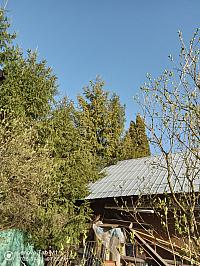 Stará Bystrica