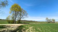 Lukovany