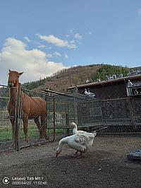 Stará Bystrica