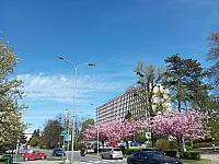 Kopřivnice