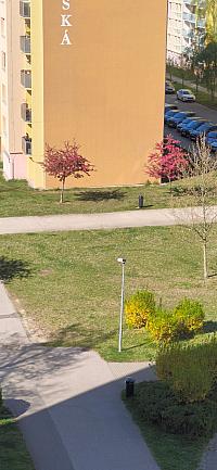 České Budějovice
