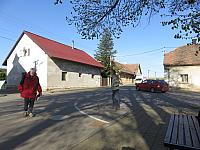 Třibřichy
