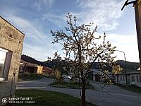 Stará Bystrica