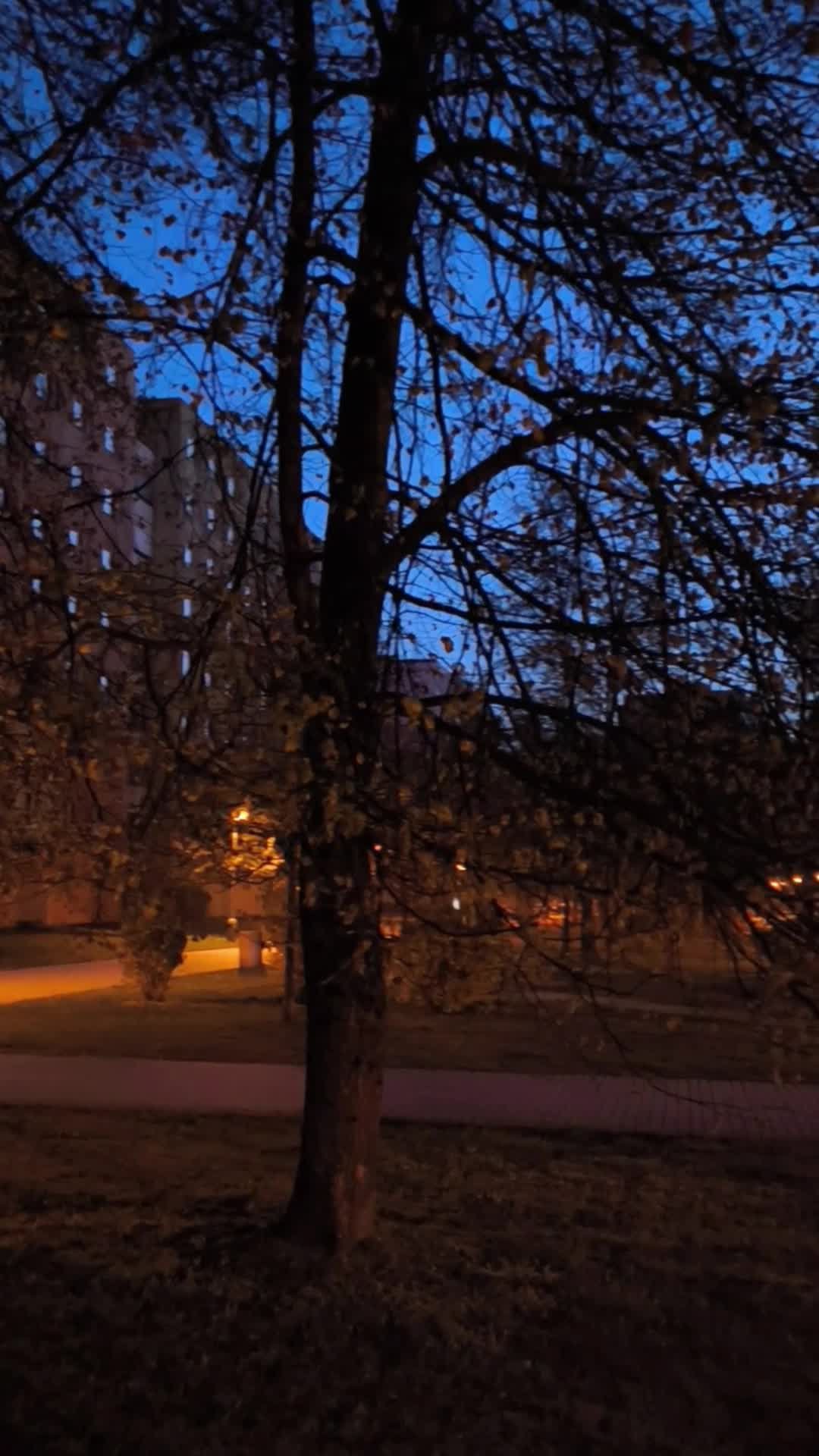České Budějovice