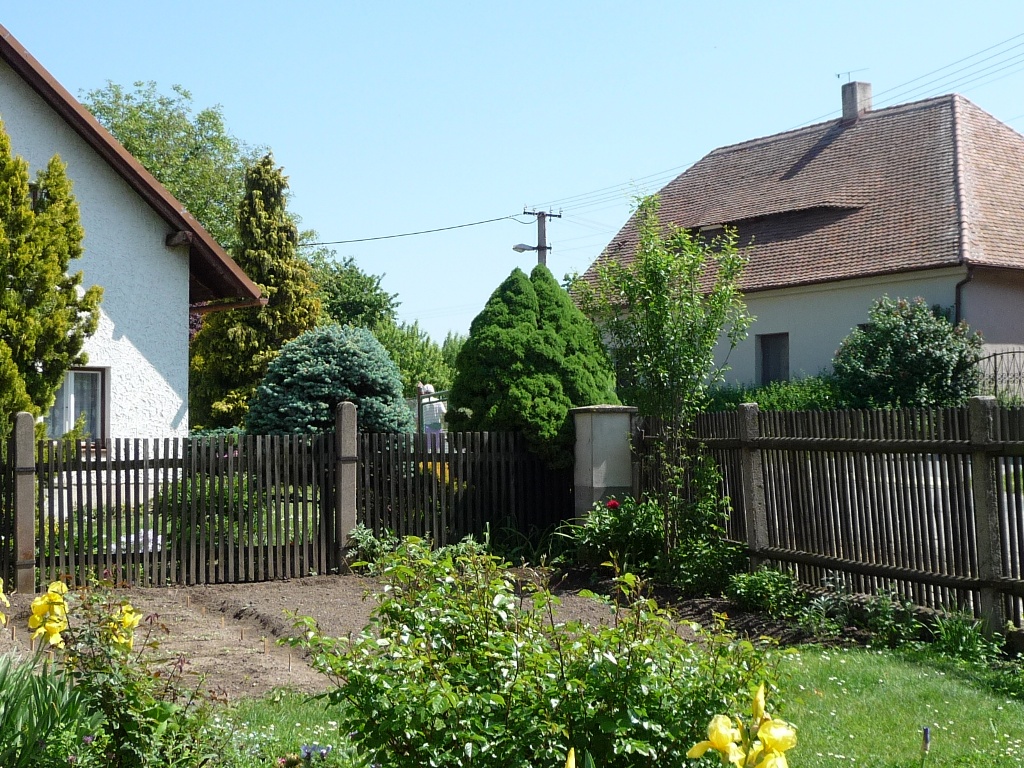 Třibřichy