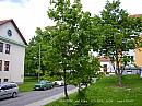 Slavičín, sídliště Vlára