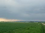 Borkovice