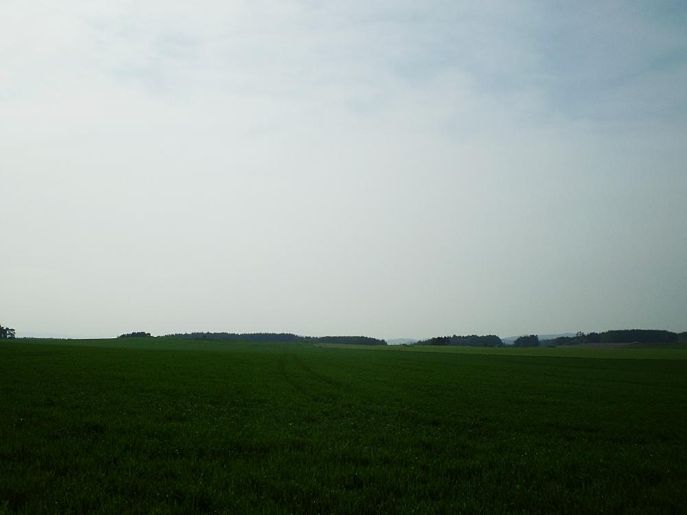 Hostákov