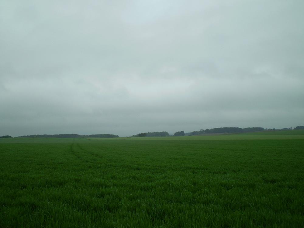 Hostákov