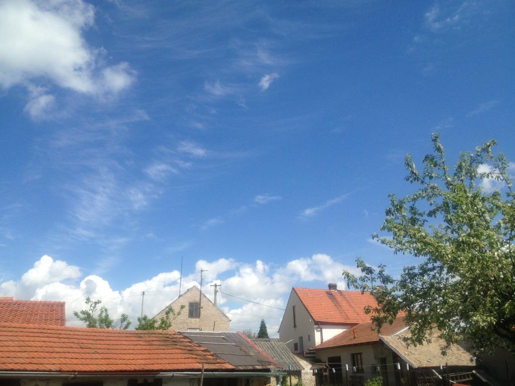 Koštice