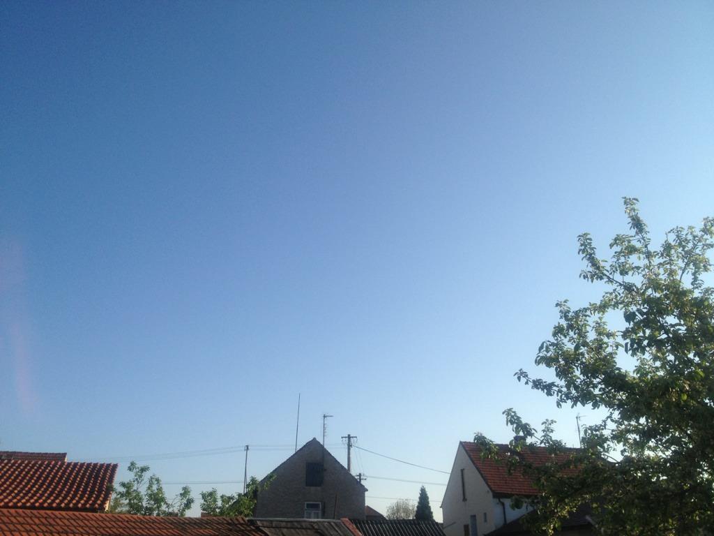 Koštice
