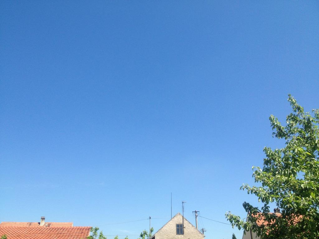Koštice
