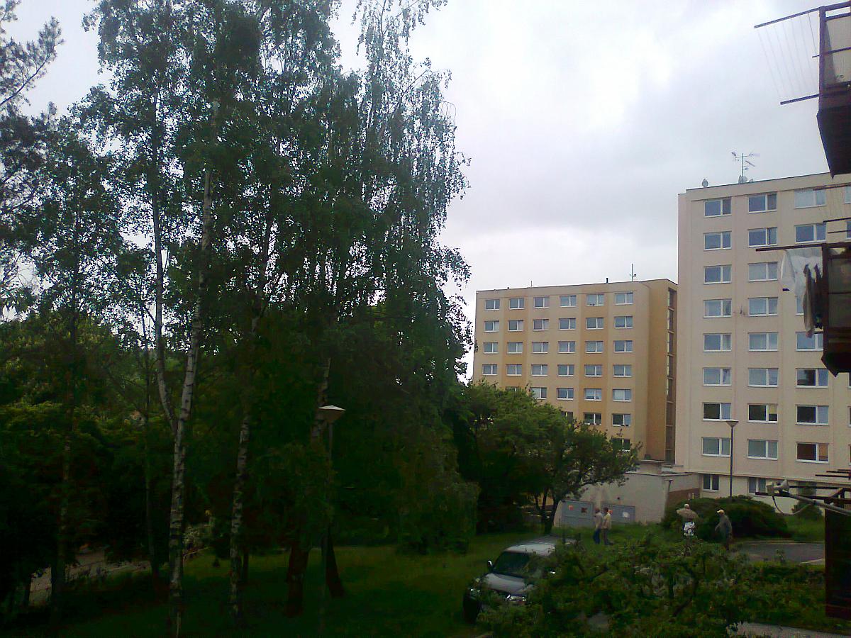 Borovina