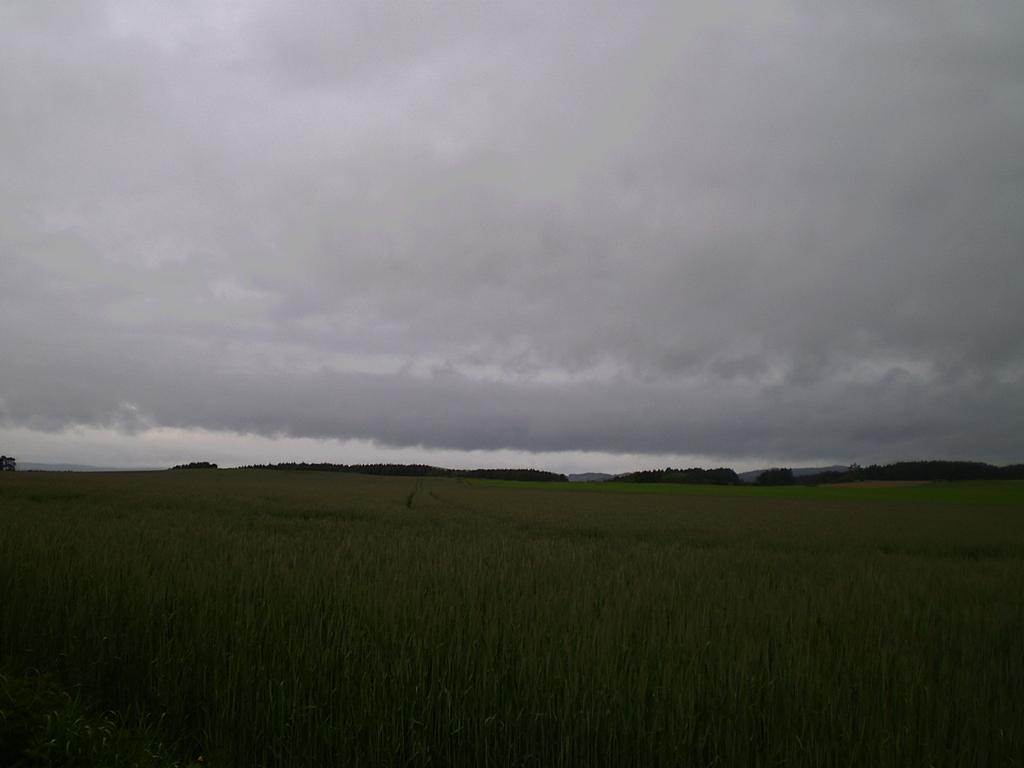 Hostákov