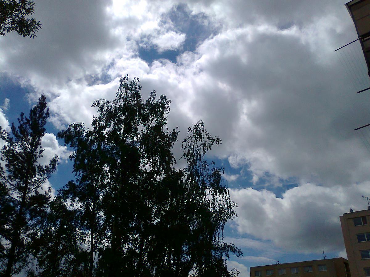 Borovina