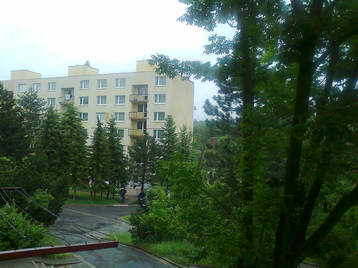 Borovina