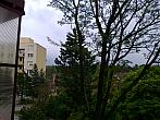Borovina